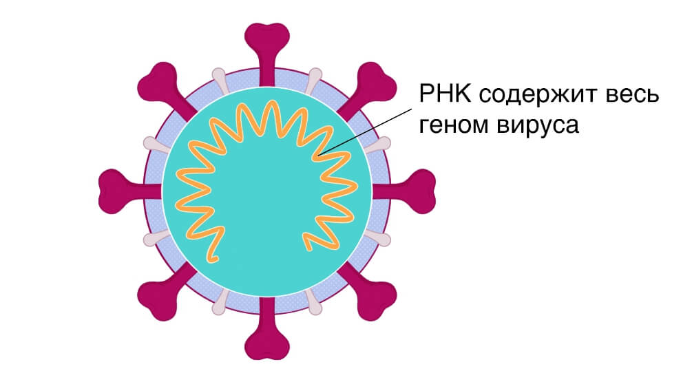 Наркоплощадки кракен