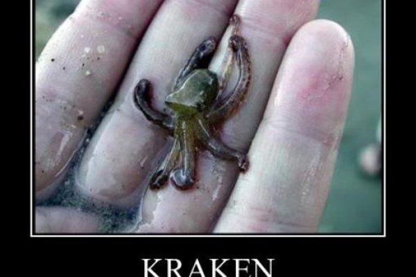 Kraken link